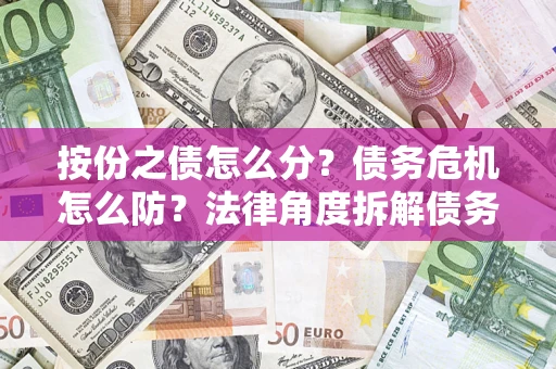 武汉按份之债怎么分？债务危机怎么防？法律角度拆解债务分配与风险自保指南
