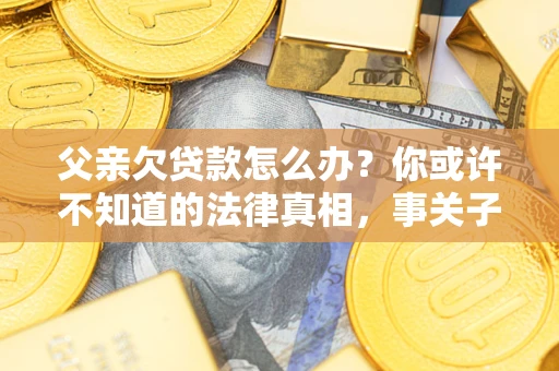 武汉父亲欠贷款怎么办？你或许不知道的法律真相，事关子女未来