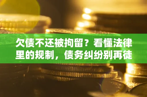 武汉欠债不还被拘留？看懂法律里的规制，债务纠纷别再徒劳奔波