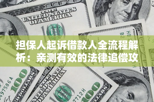武汉担保人起诉借款人全流程解析：亲测有效的法律追偿攻略