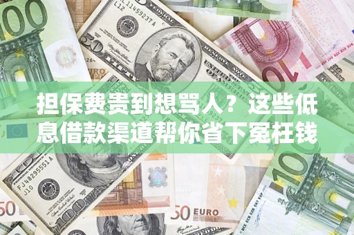 武汉担保费贵到想骂人？这些低息借款渠道帮你省下冤枉钱