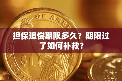 武汉担保追偿期限多久？期限过了如何补救？