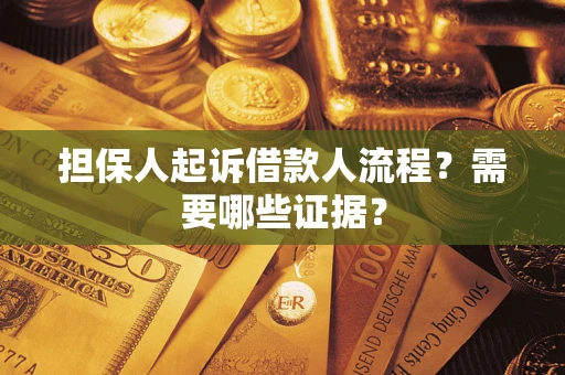 武汉担保人起诉借款人流程？需要哪些证据？
