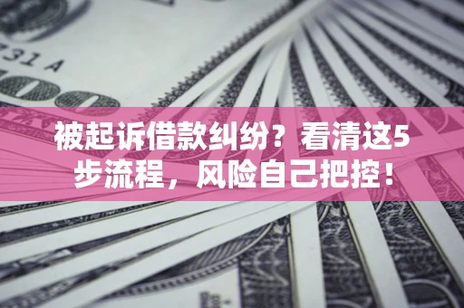 武汉被起诉借款纠纷？看清这5步流程，风险自己把控！