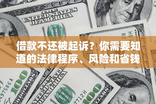 武汉借款不还被起诉？你需要知道的法律程序、风险和省钱技巧